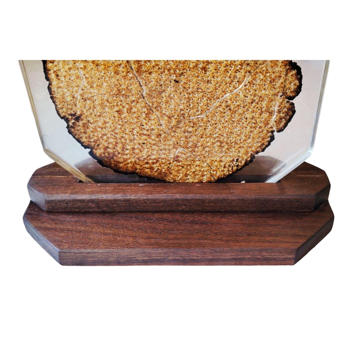 Matza In Clear Epoxy Casting With Black Walnut Base